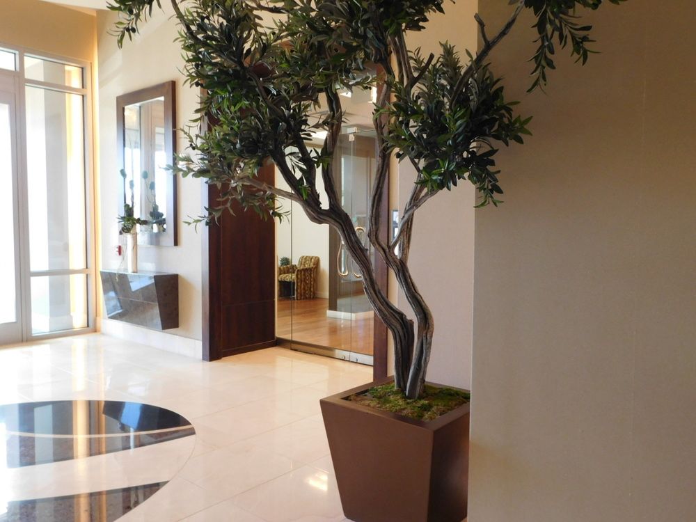 Pavillon at Summerlin Centre : 10801 West Charleston Blvd, Suite 170, Las Vegas, NV 89135